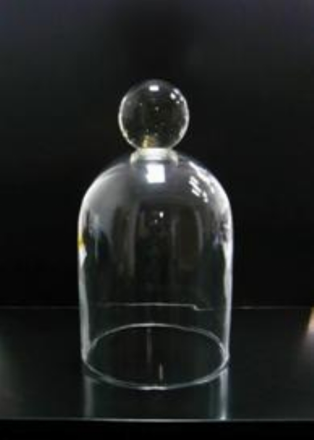 Sourcing cloches en verre - Galeries Lafayette